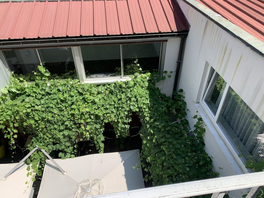 Фото ClapClap Hôtel