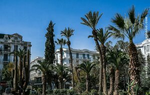 Гостиница Majestic Hotel