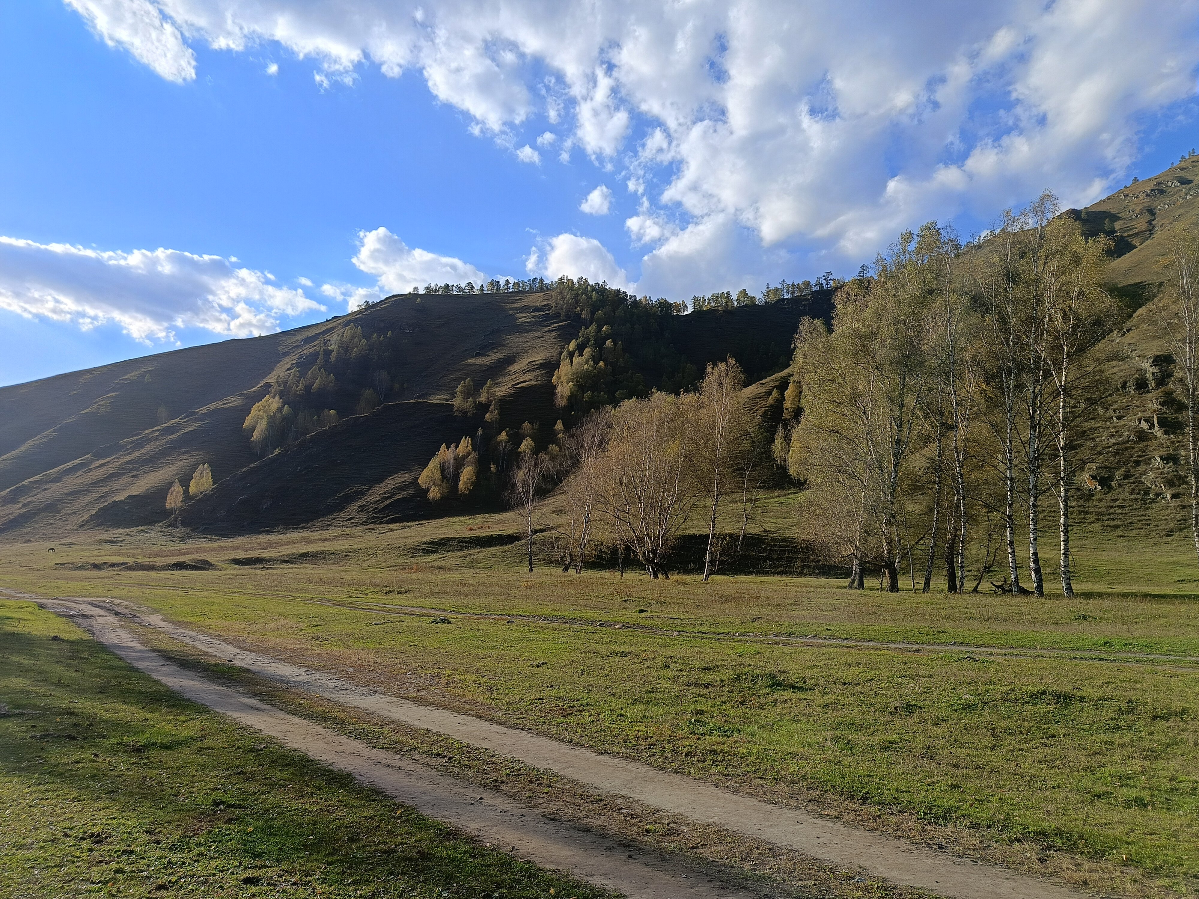 Фото Дикое место