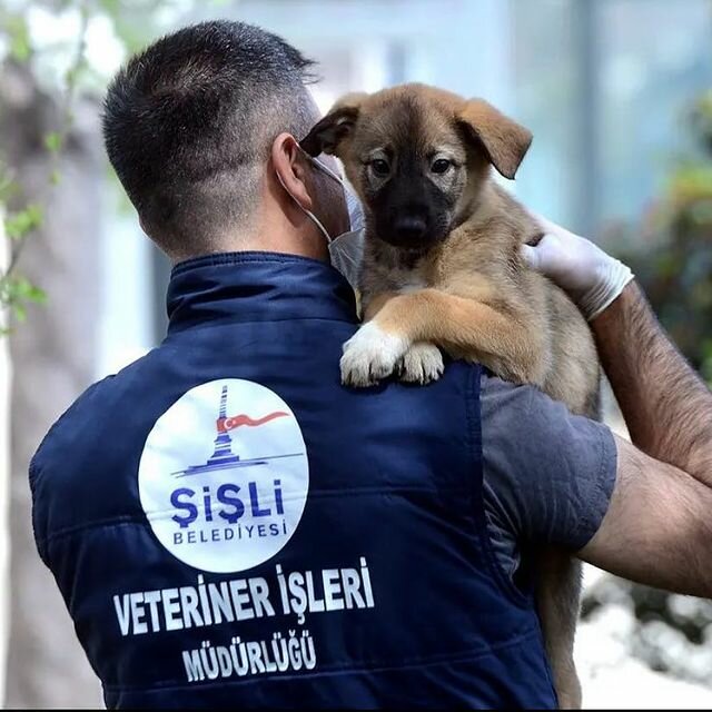 Government ministries, services Sisli Municipality Directorate of Police, Istanbul, photo