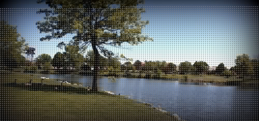 Фото Adventureland Inn