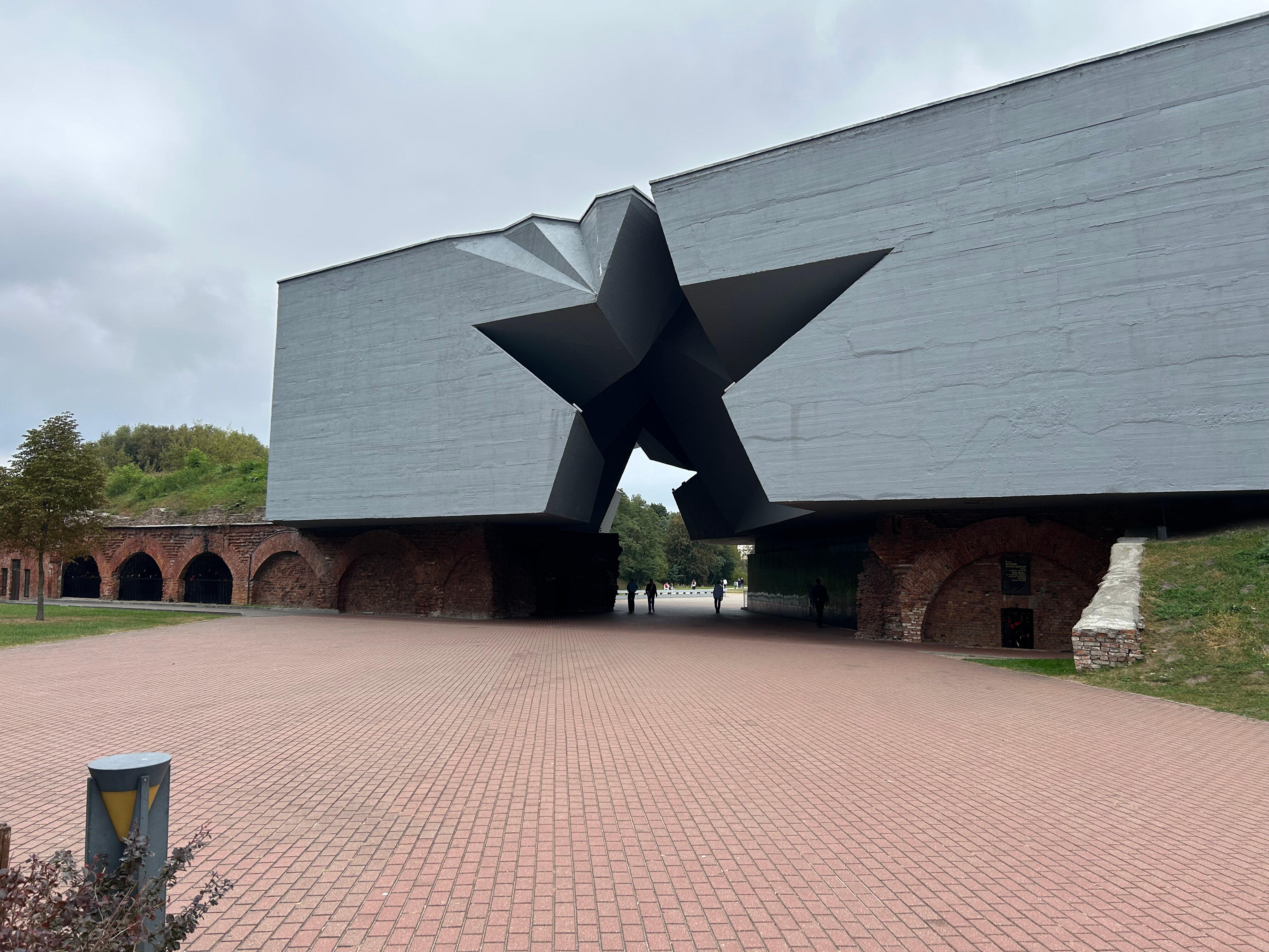 Фото Пять колец