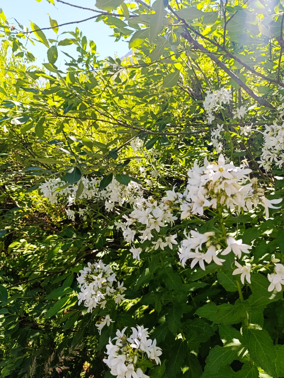 Фото Гостиница Алибек