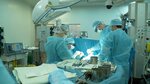 Russian Scientific Center of Surgery named after Academician B. V. Petrovsky (Bolshaya Pirogovskaya Street, 2-6с48) ، قسم المستشفى