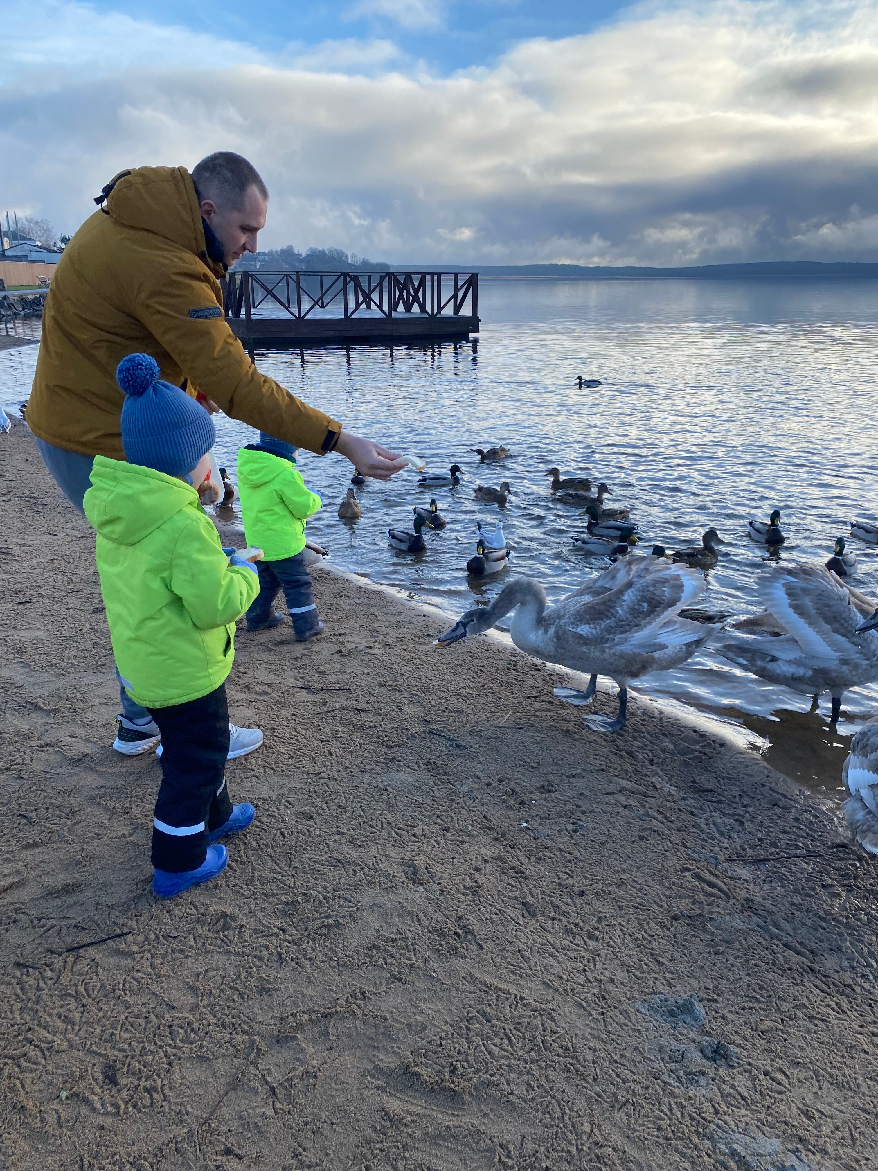 Фото Хуторок Себежский берег озера