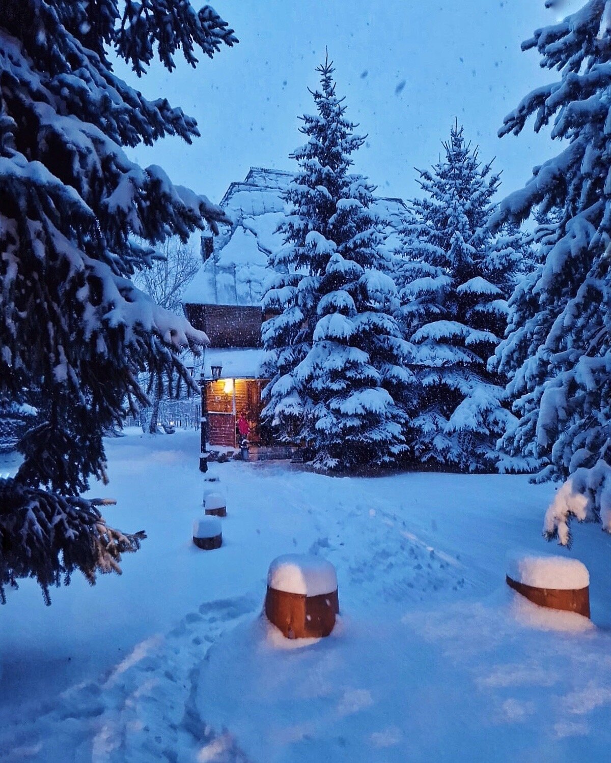 Фото Банковская дача