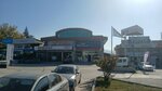 Günmarlas (Bursa, İzmir Yolu Cad., 223), tienda de repuestos y artículos para automóviles