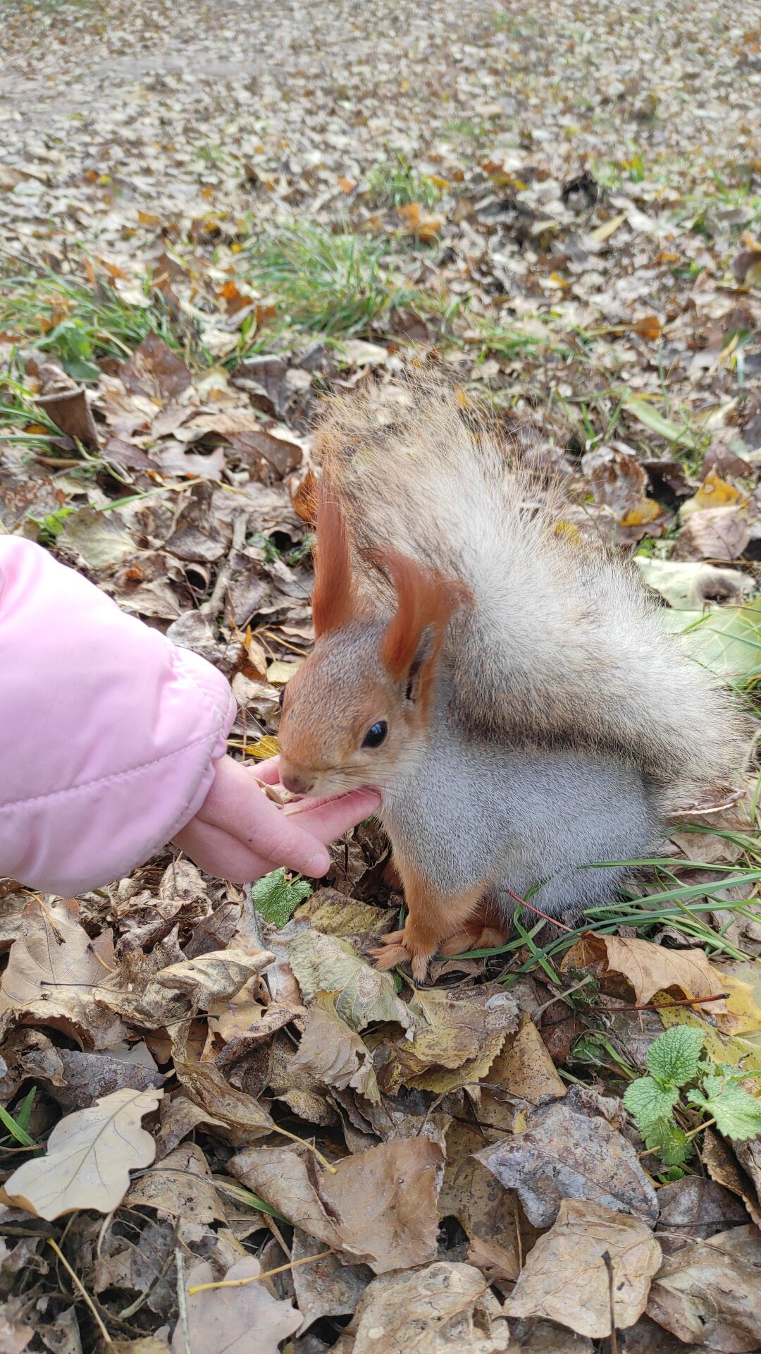 Фото Династия Лефортово