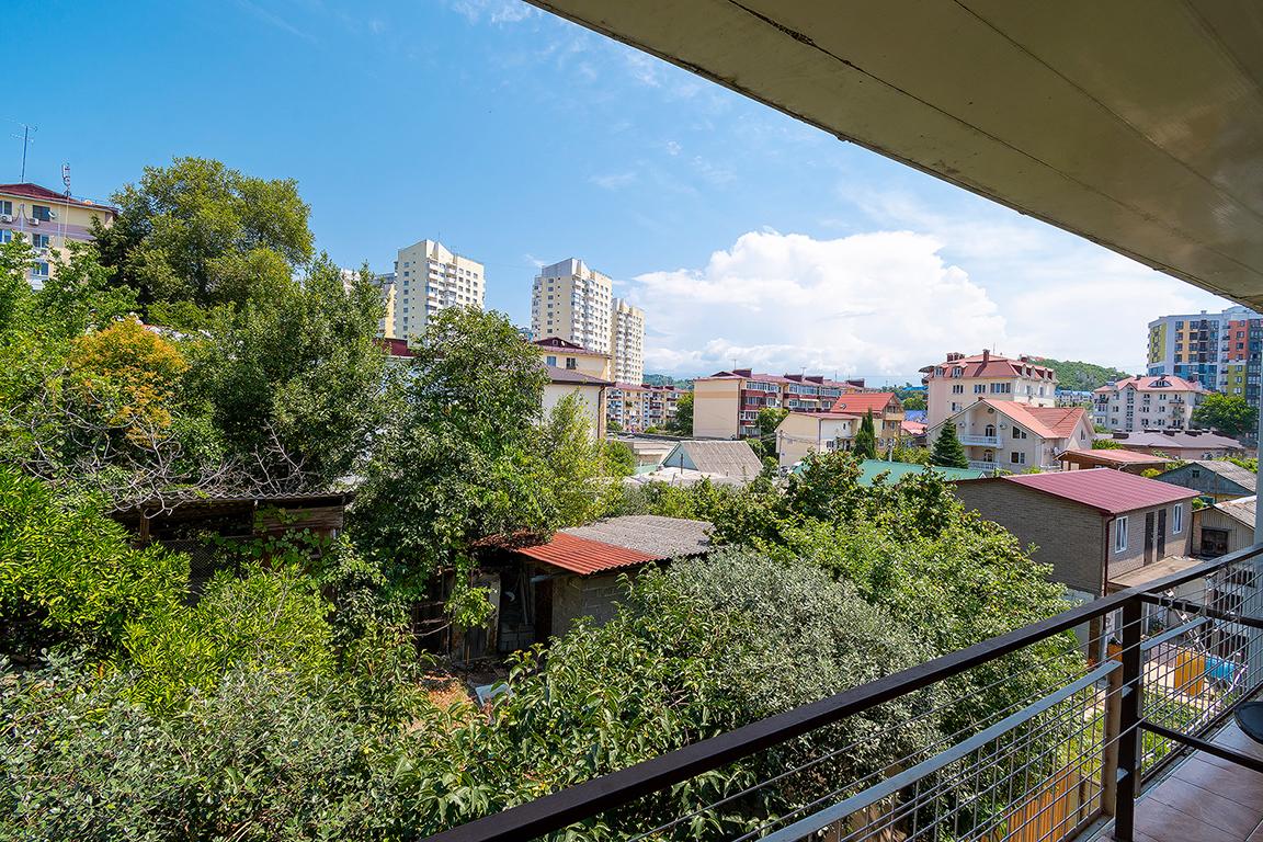 Фото Азалия Мимоза