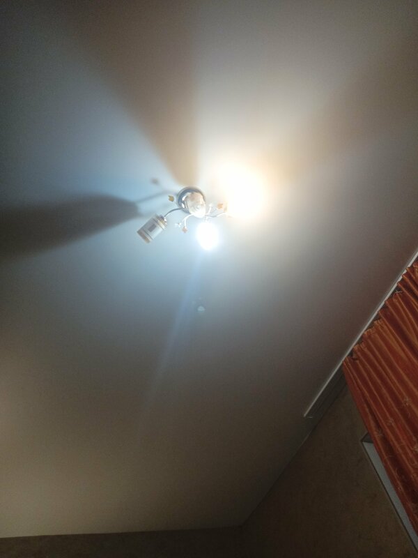 Тутси — фото 11