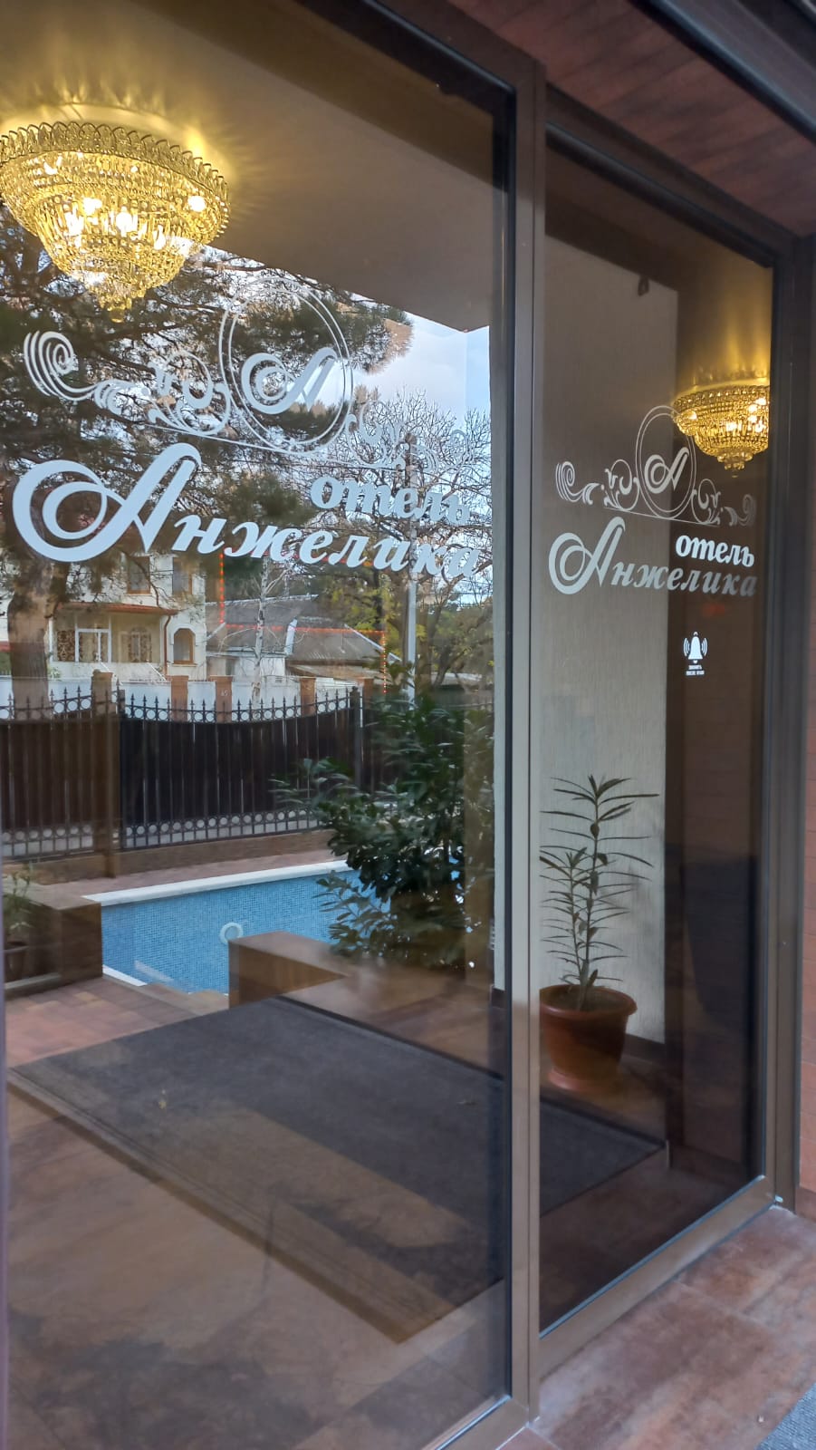 Фото Анжелика