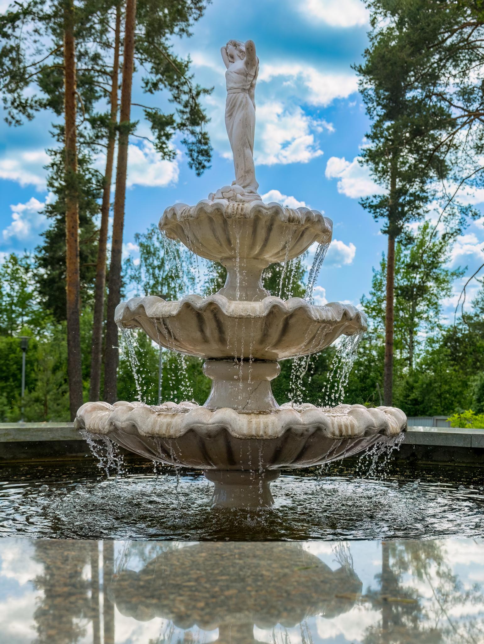 Фото Северный сад