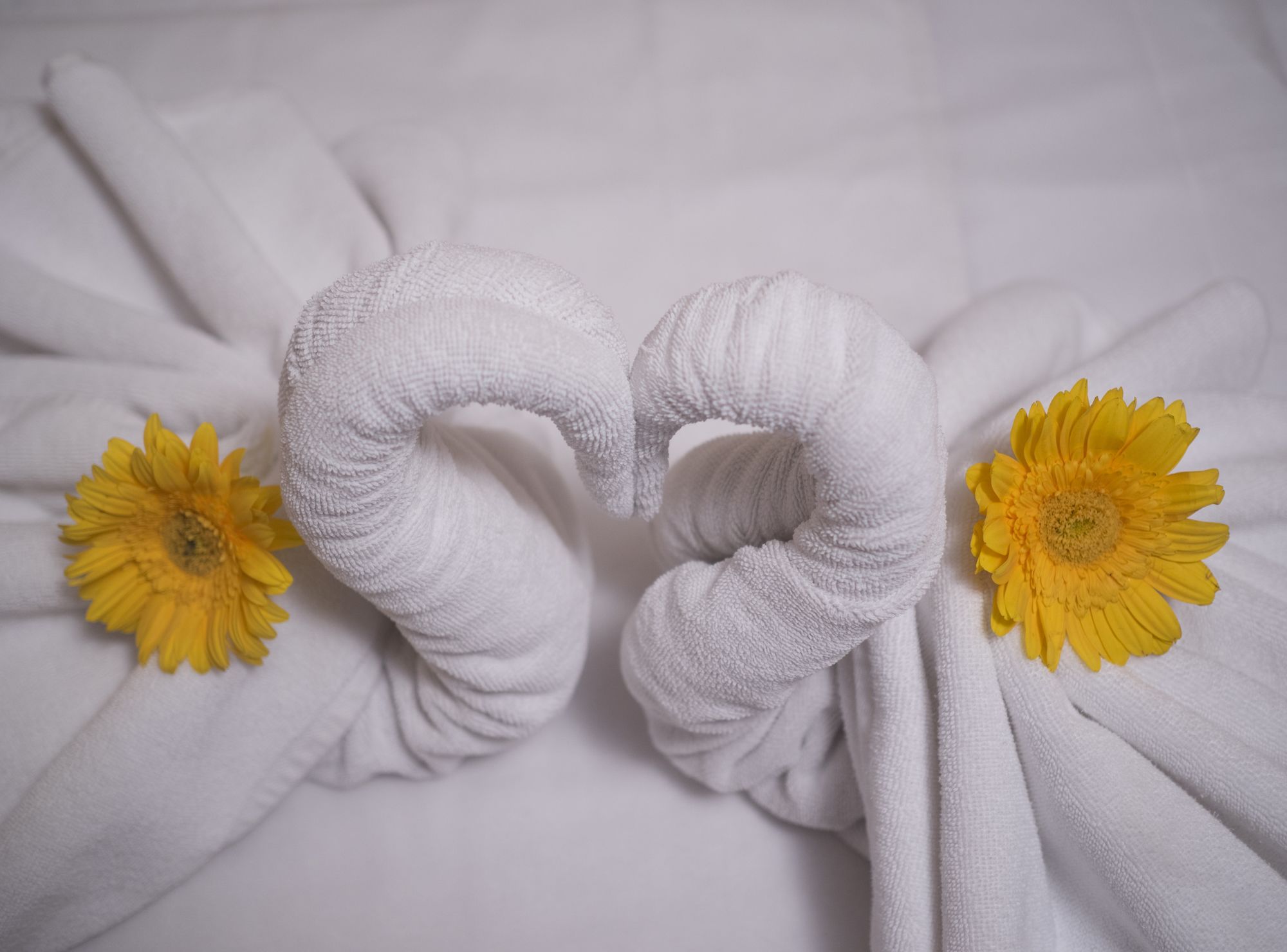 Фото Niranta Airport Transit Hotel – International Wing