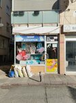 Sedef Akvaryum (İstanbul, Uskudar, Kartal Baba Cad., 87A), pet shop