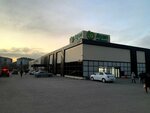 Activ (Republic Avenue, 64) ، مشغل للهاتف الجوال