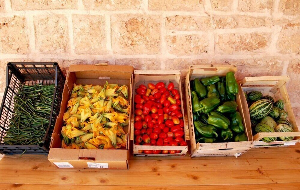 Фото Agriturismo Masseria Galatea