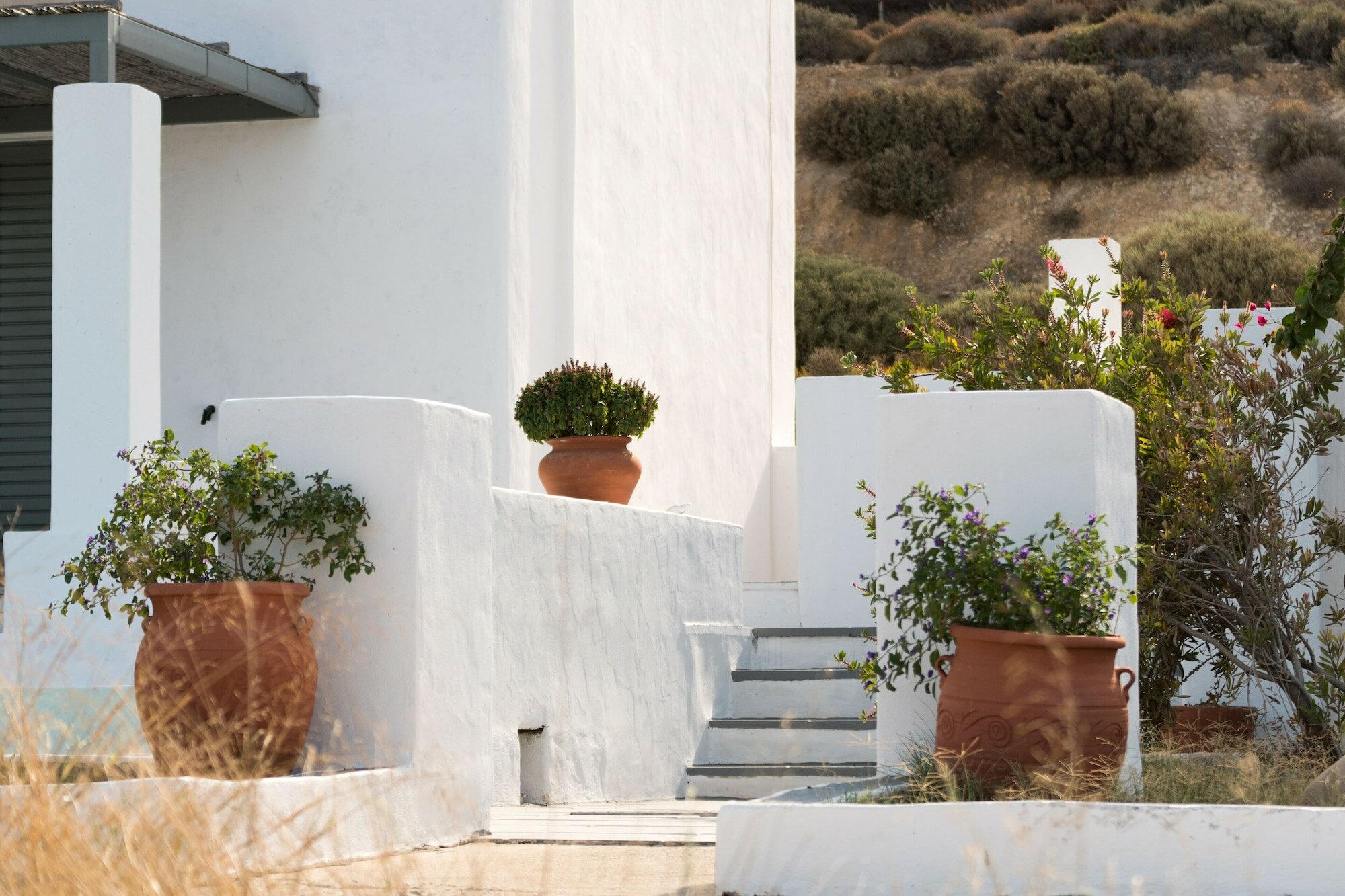 Фото Villas Lino