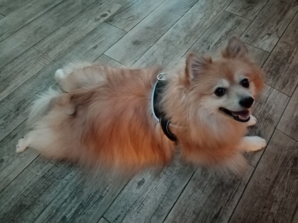 Фото Hotel Astoria