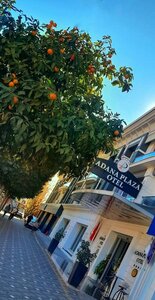 Гостиница Adana Plaza Hotel