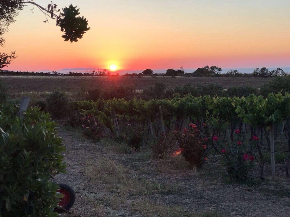 Фото Agriturismo Monte Istulargiu