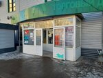 Qiwi (Stroitel microdistrict, 39/1), payment terminal