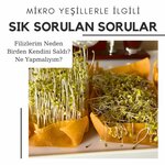 Can Bahce (İstanbul, Kadikoy, Hasanpaşa Mah., Kurbağalıdere Cad., 42), garden center