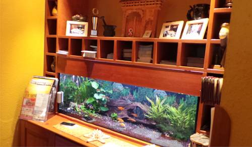 Фото Karin Hotel