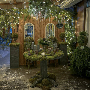 Гостиница Botanica	