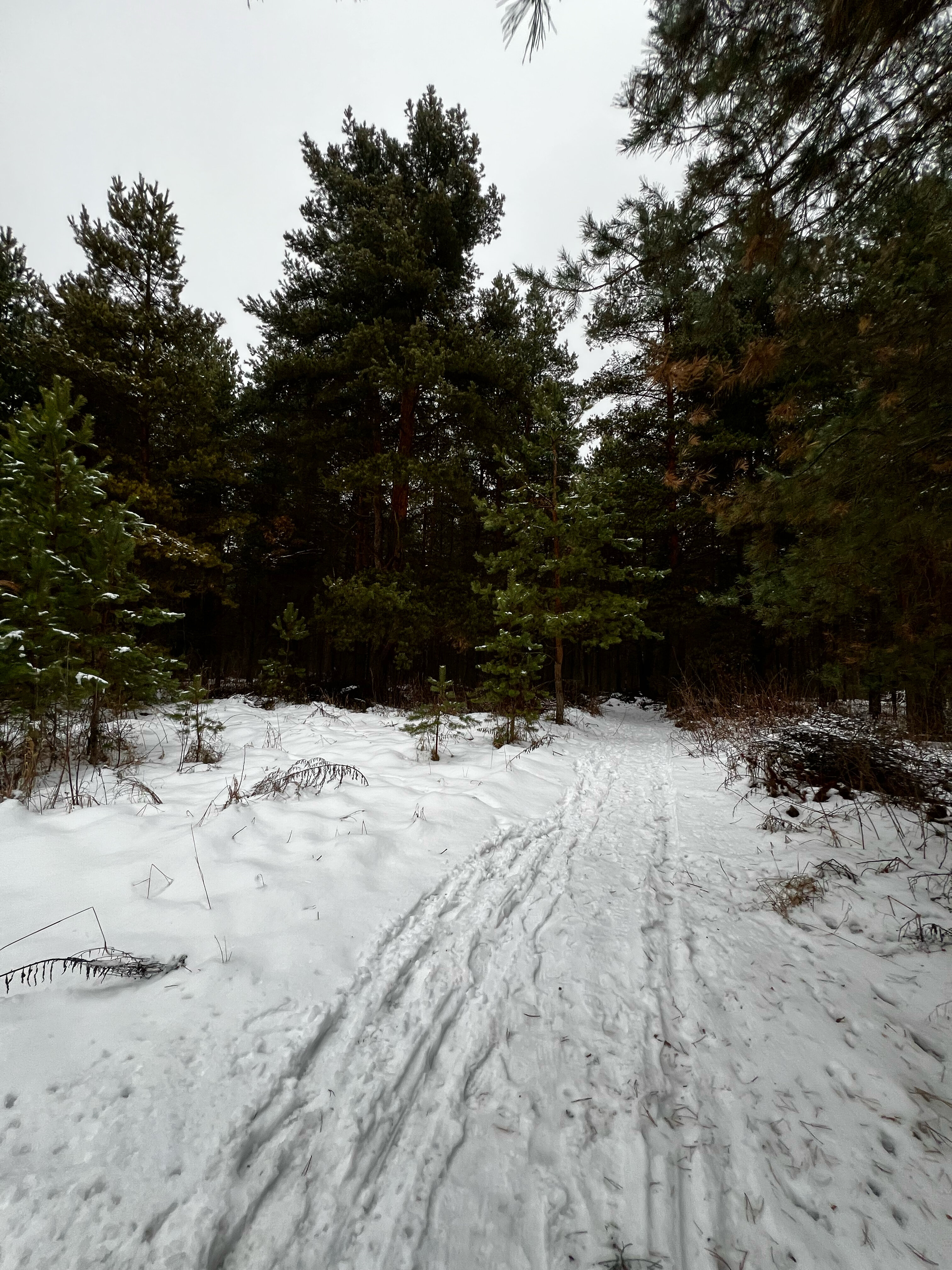 Фото Шале Белые пески