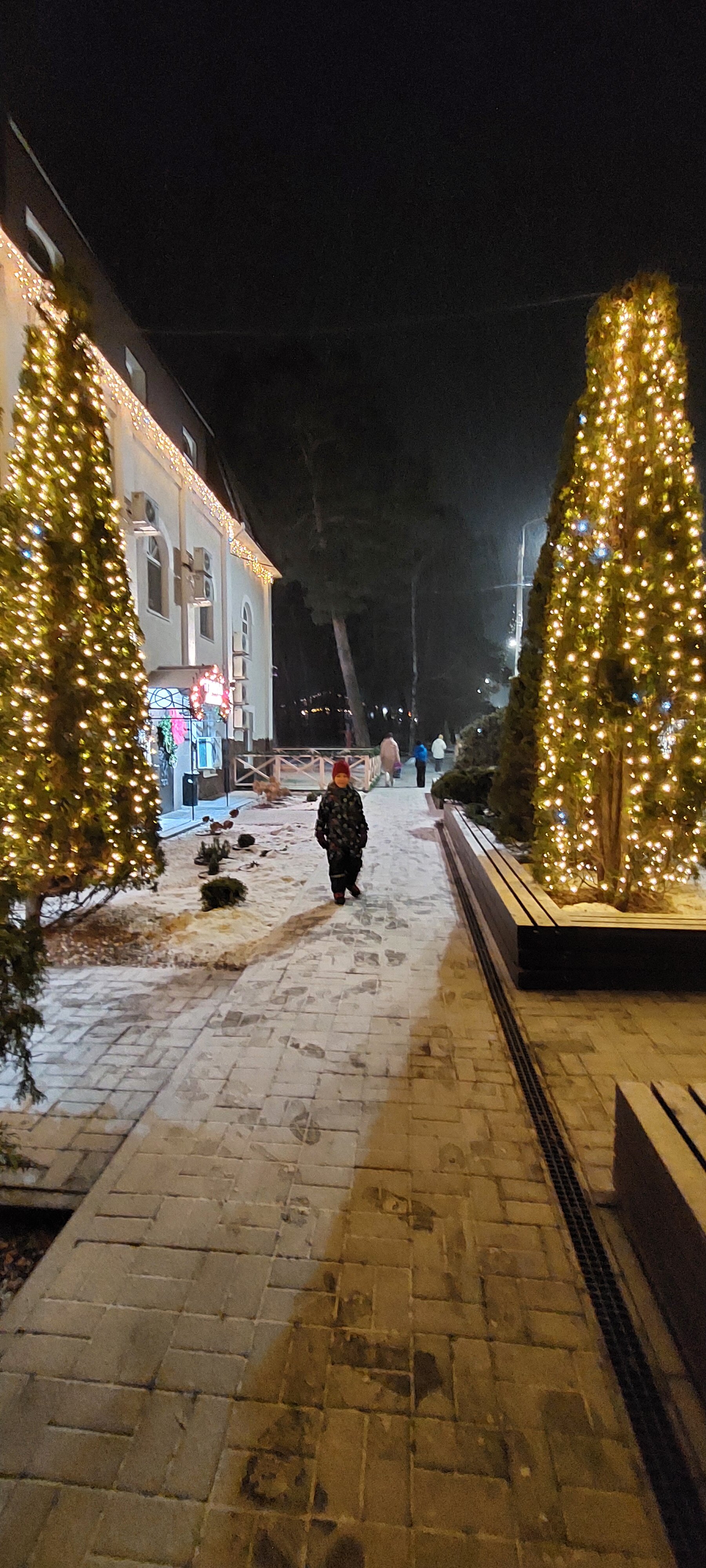 Фото Паустовский