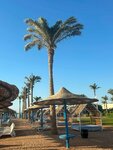 Poyekhali S Nami! (Auezov Street, 120) ، وكالة أسفار