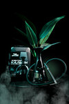 Z-pro Hookahs (Vostochnoye Highway, 41), tobacco and smoking accessories shop