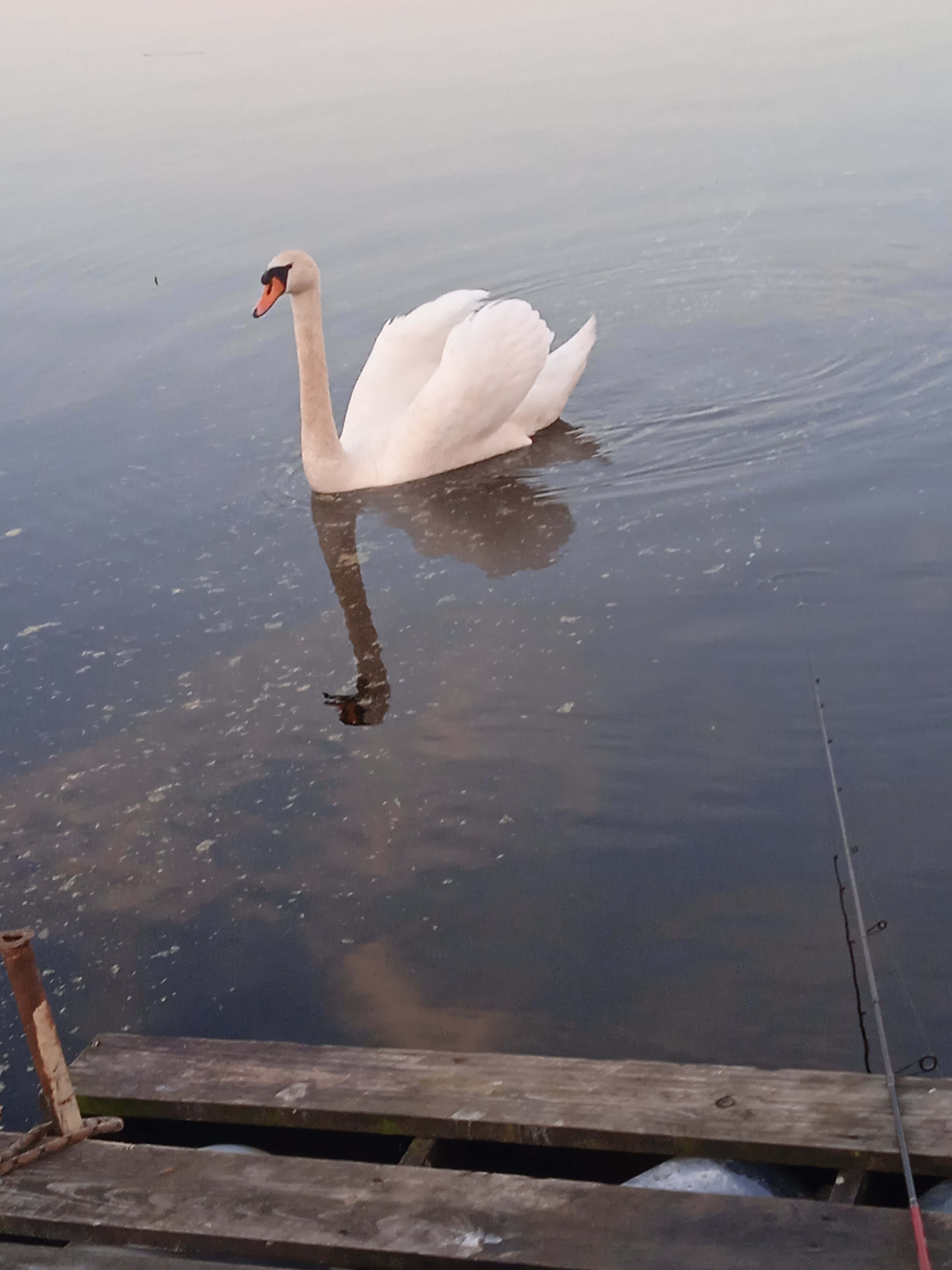 Фото Хуторок Себежский берег озера
