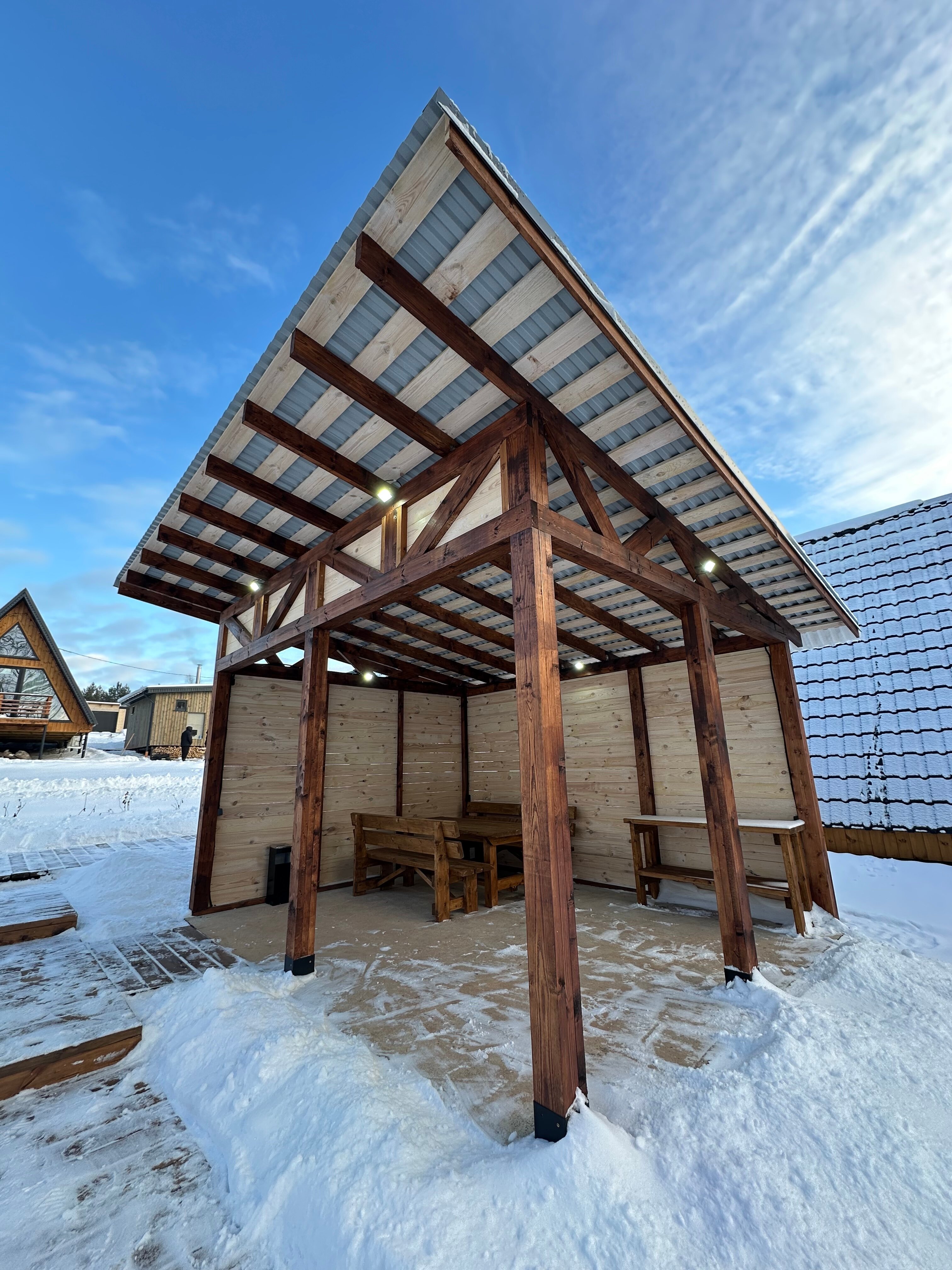 Фото Караси