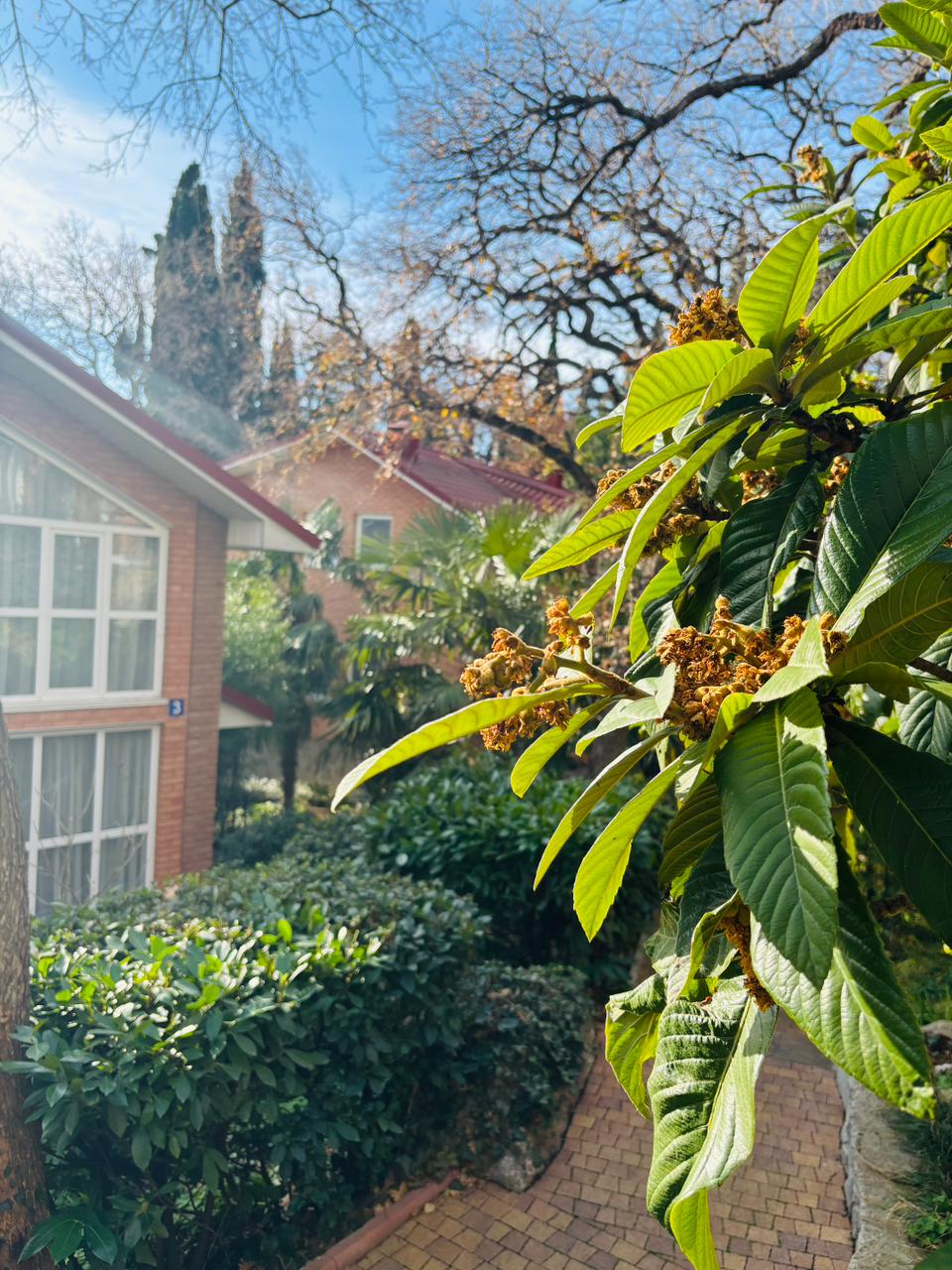 Фото Парк-Отель Родос