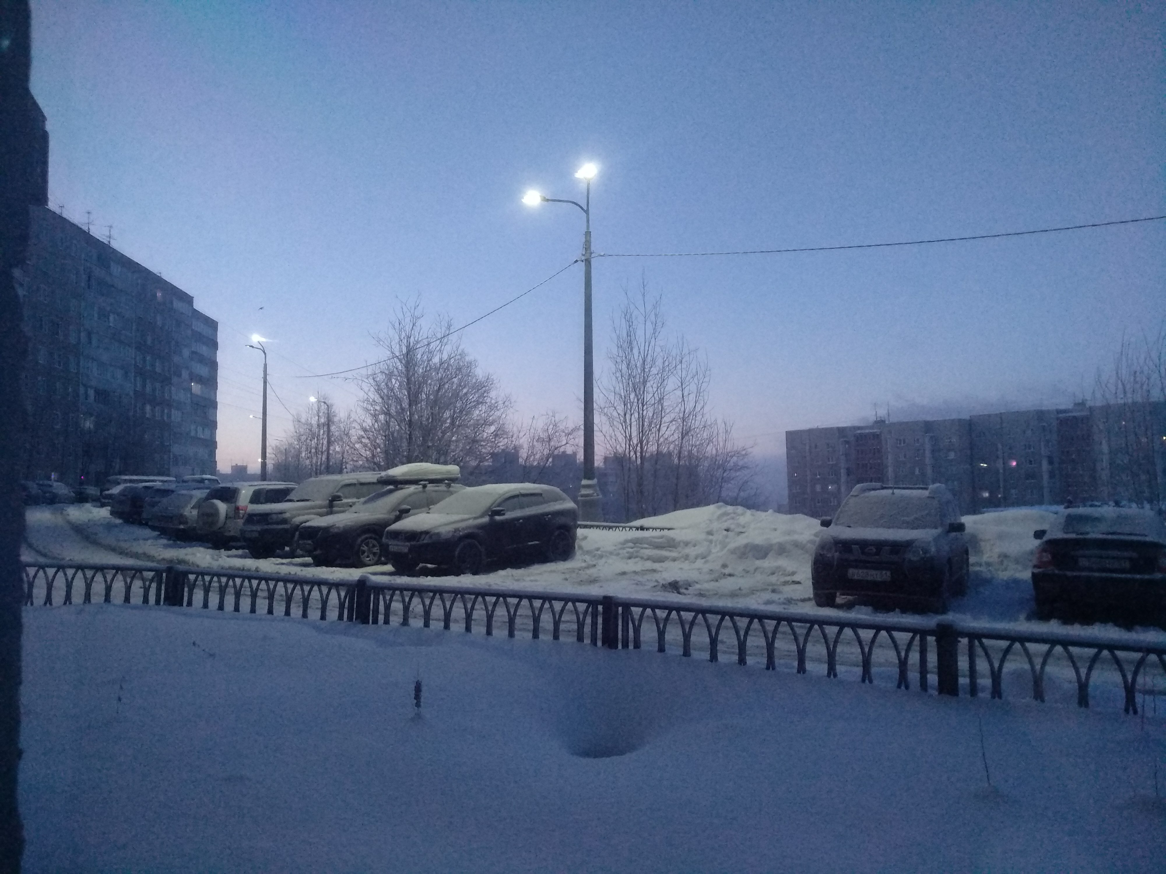 Фото Снегири