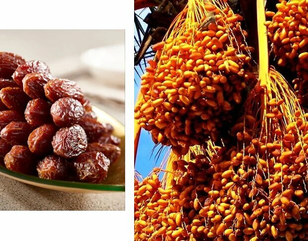 Food manufacturers Royal Garden General Trading, Dubai, photo