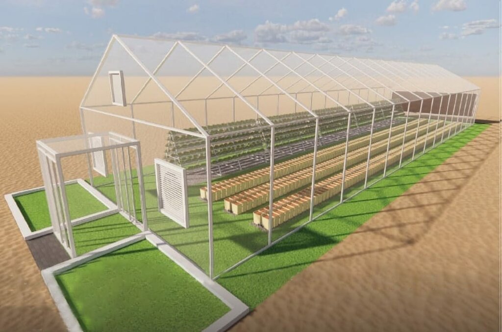 Agricultural enterprise Fresh Roots Hydroponics Contracting, Abu Dhabi, photo