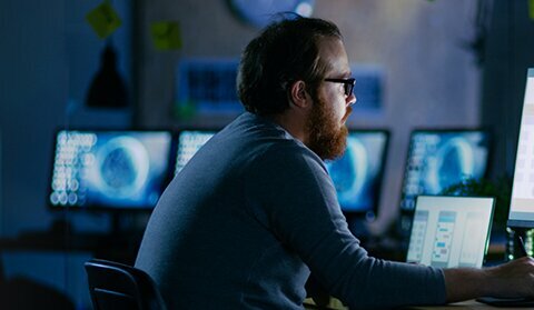 Management company Net Scout, Dubai, photo