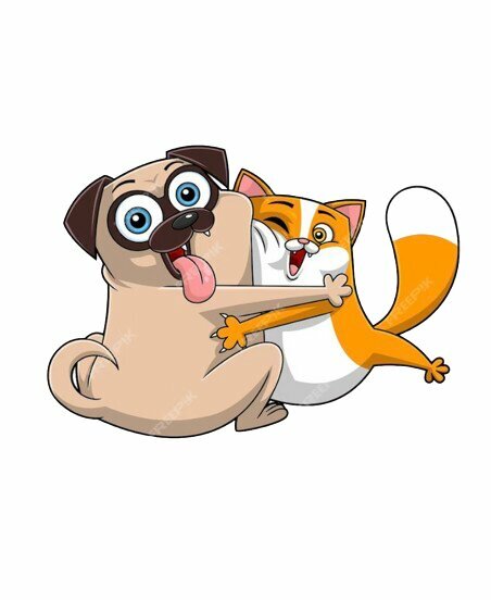 Pet shop KimBowny, Dubai, photo