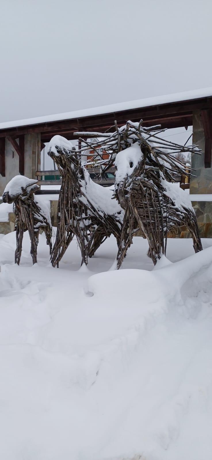 Фото Снегири