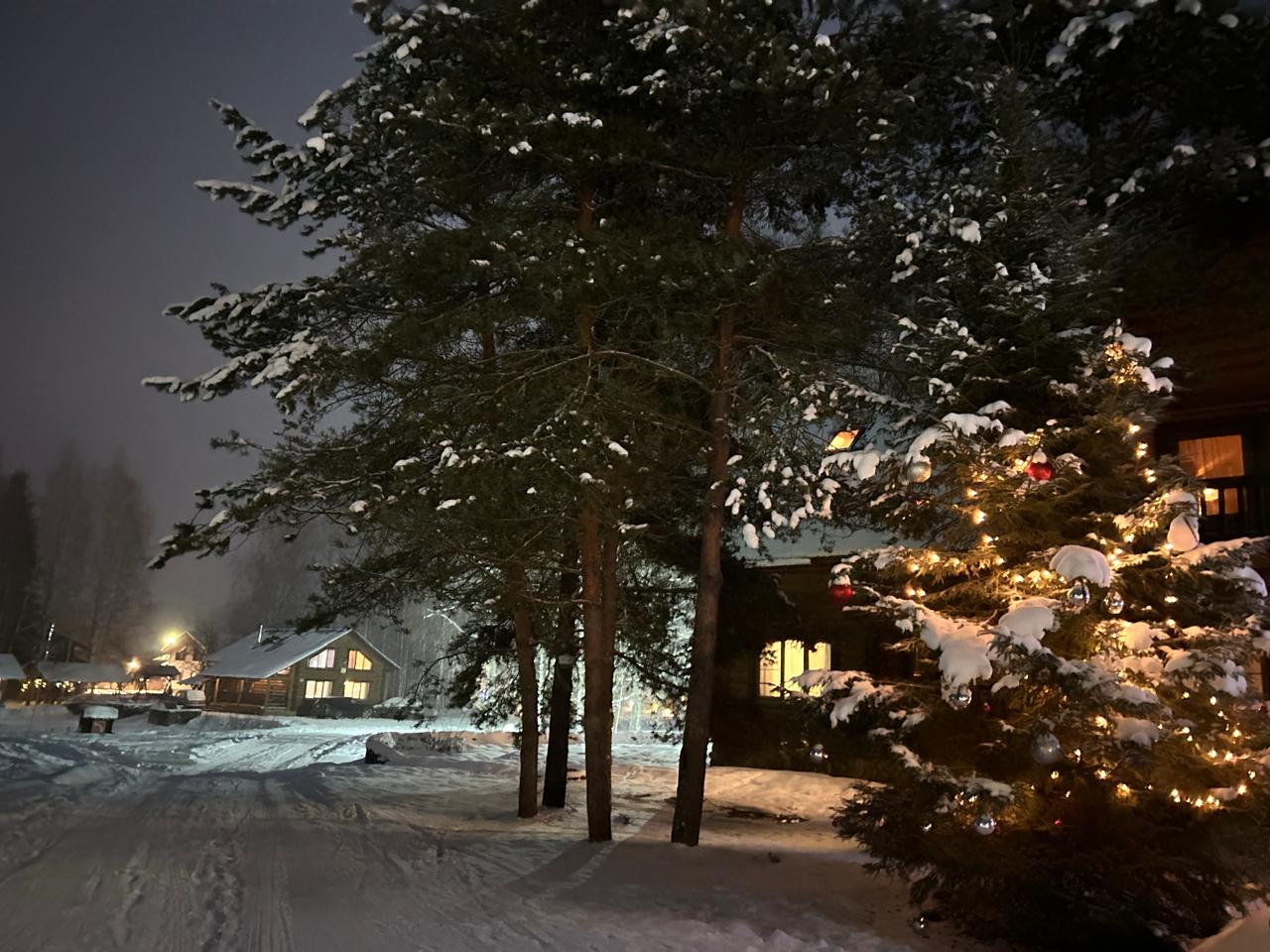 Фото Эковиладж Селигер