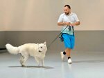 Paw Psychology, center (23/1, 47 Street, Community Jabal Ali Industrial First, Jebel Ali, Dubai), zoo center