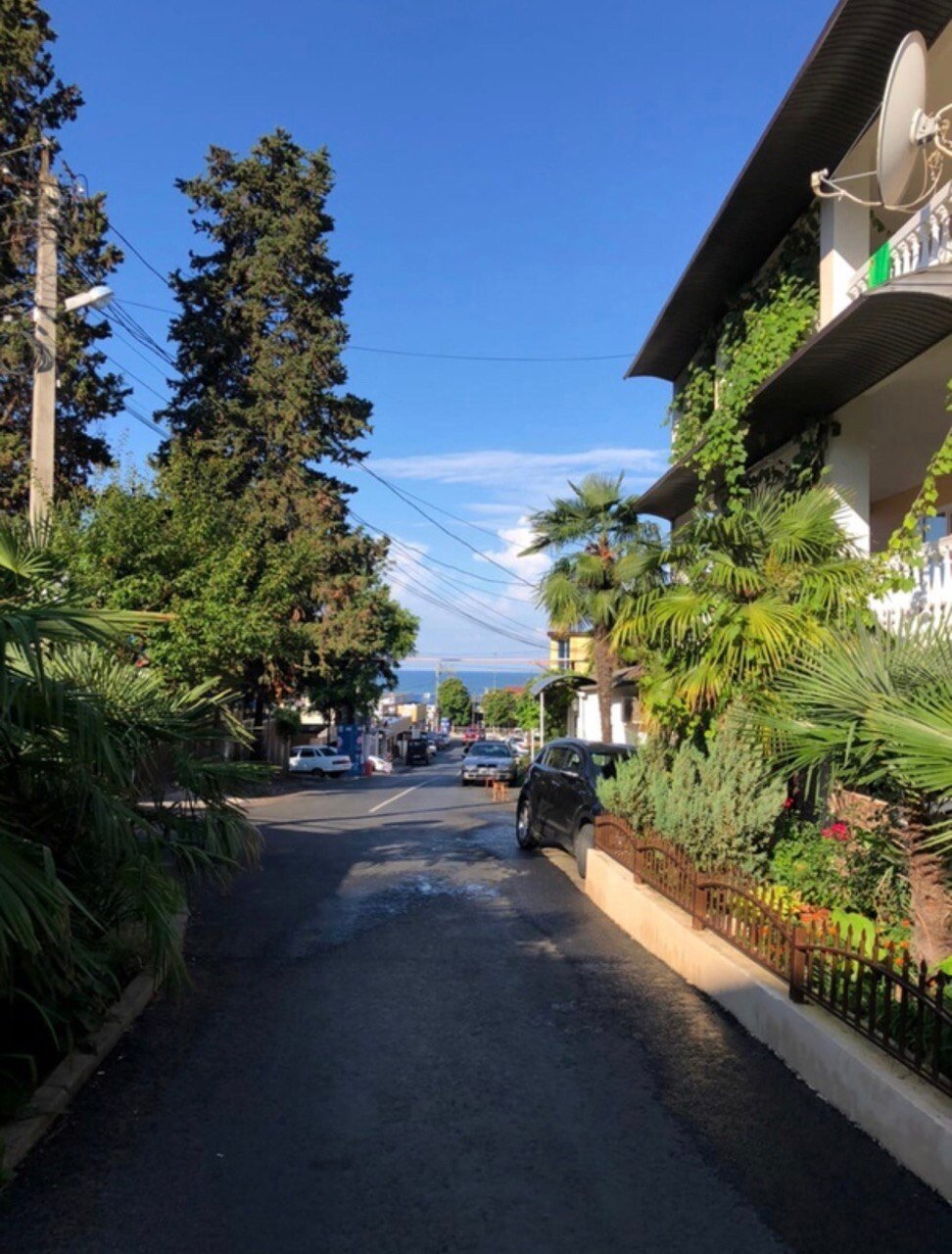 Фото Миндаль