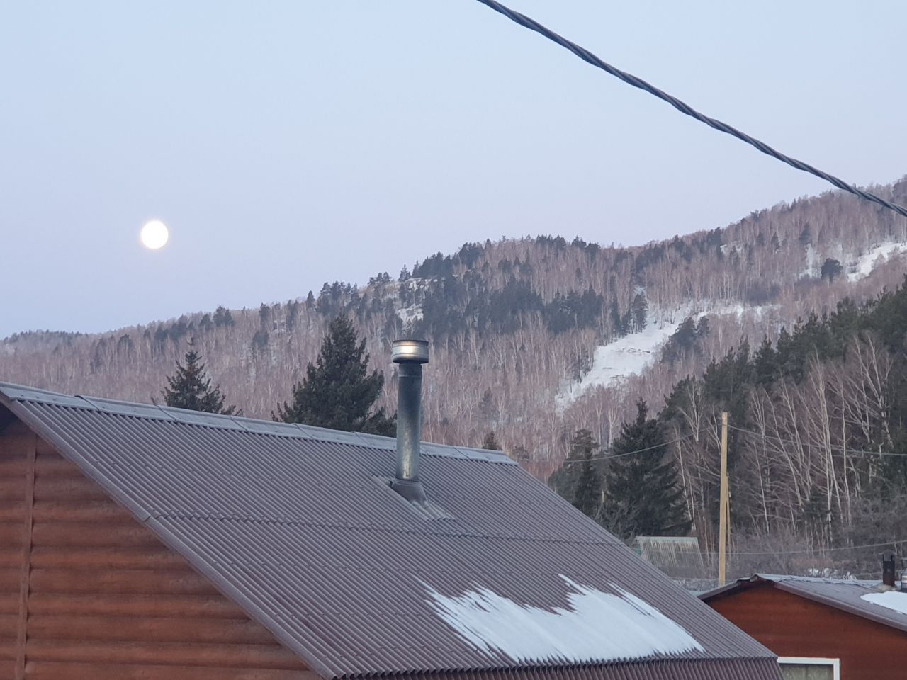 Фото Дикая Вишня