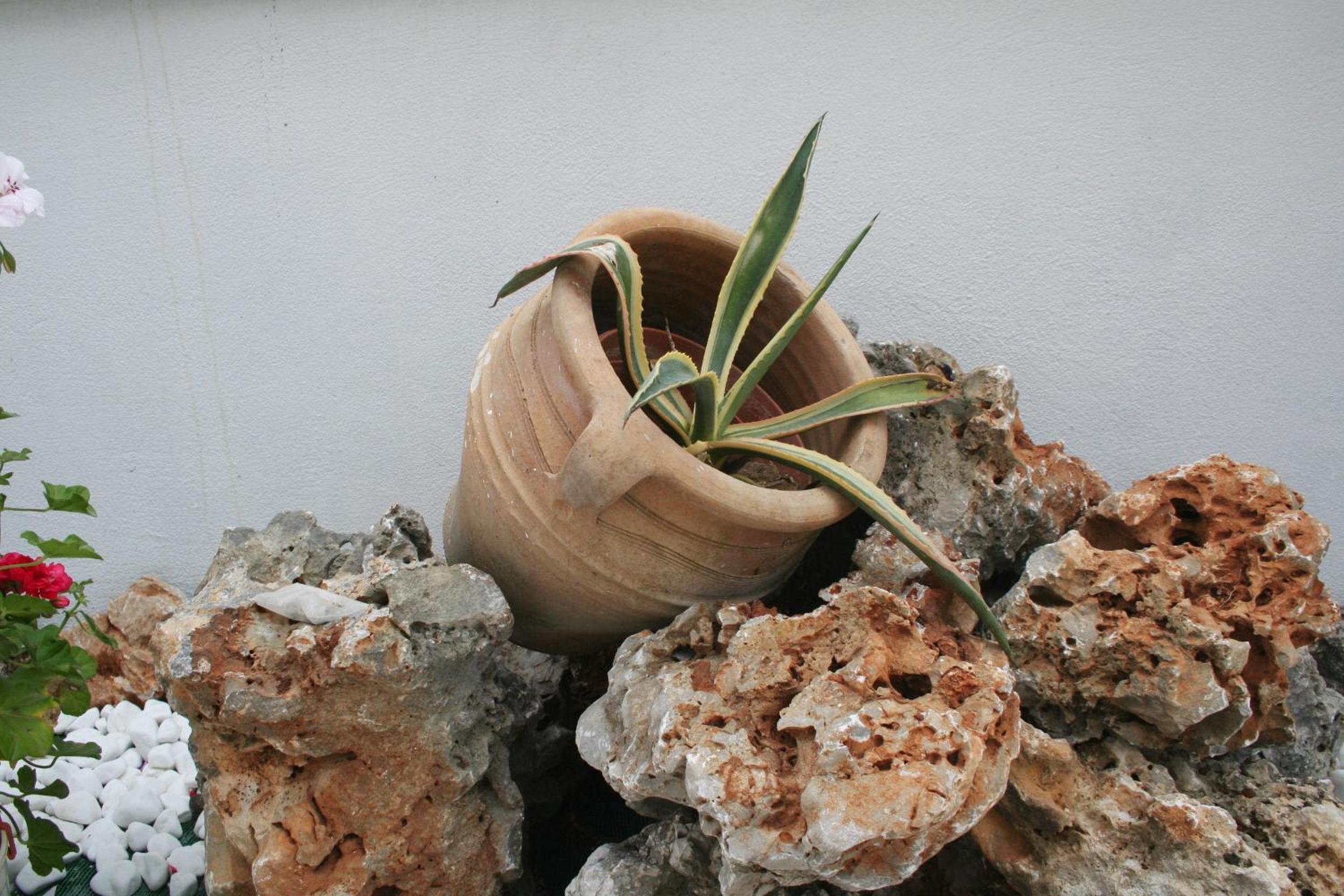 Фото Pantheon Deluxe Apartments