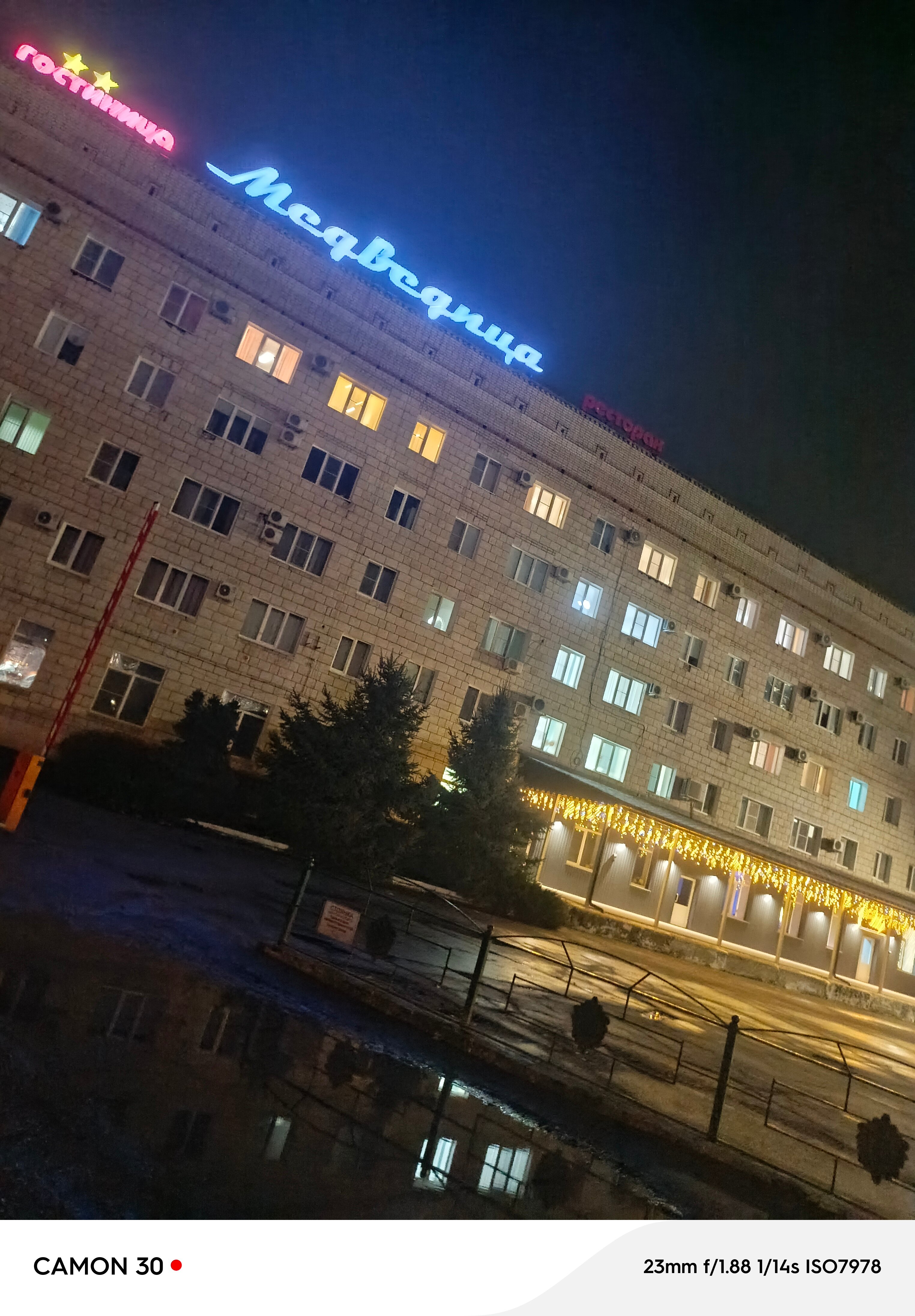 Фото Медведица