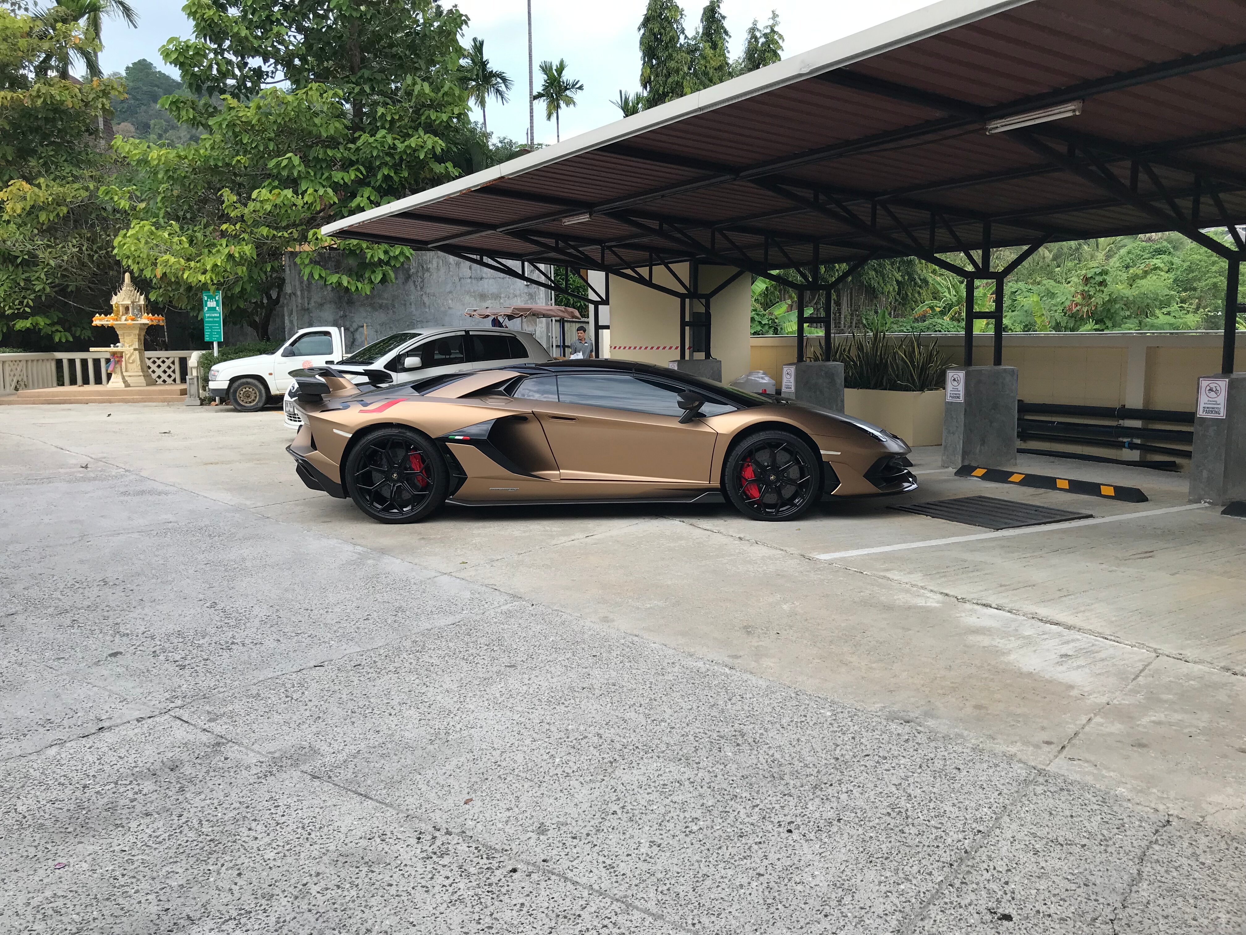 Фото The Village Resort & SPA