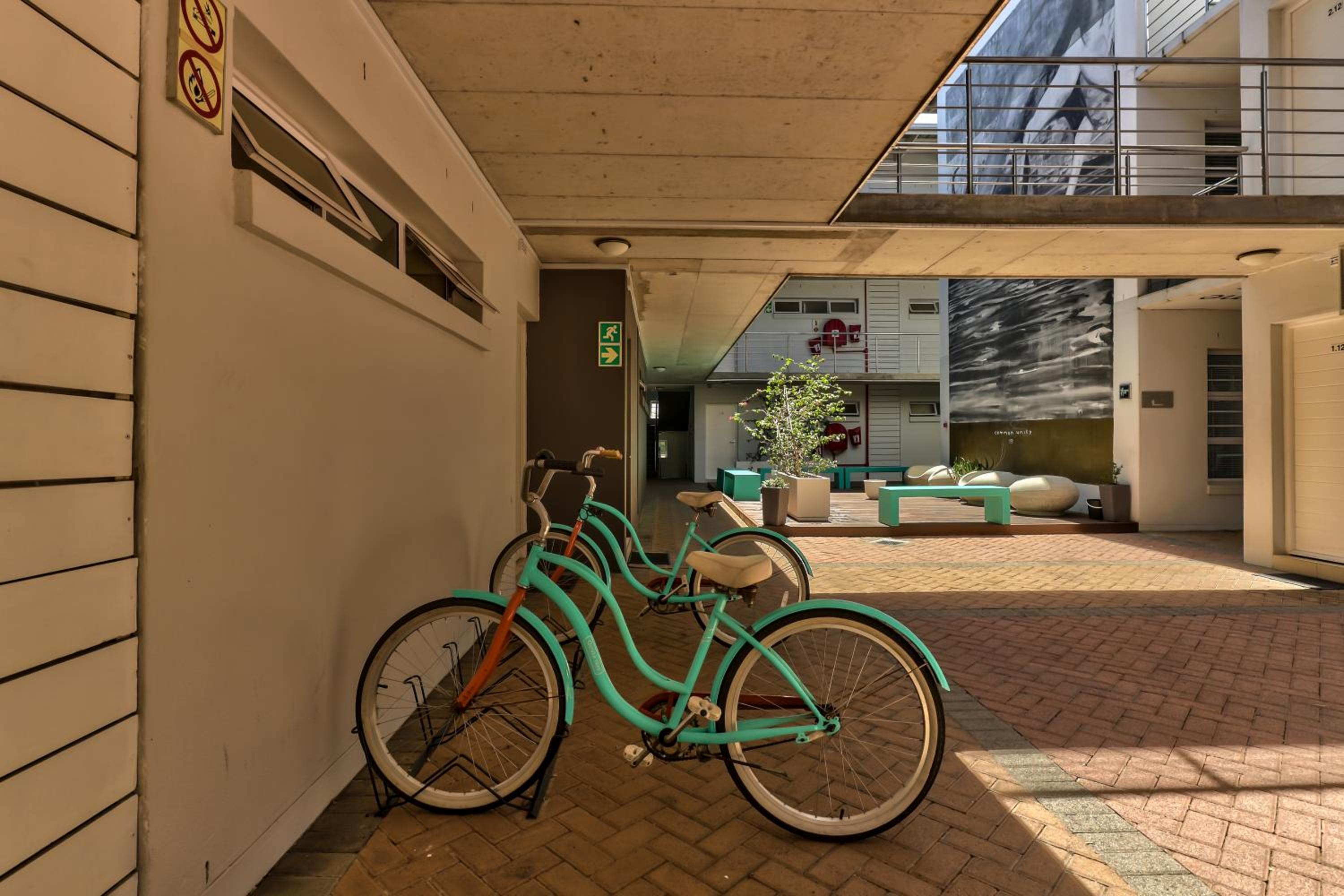 Фото Wink Quiver Tree