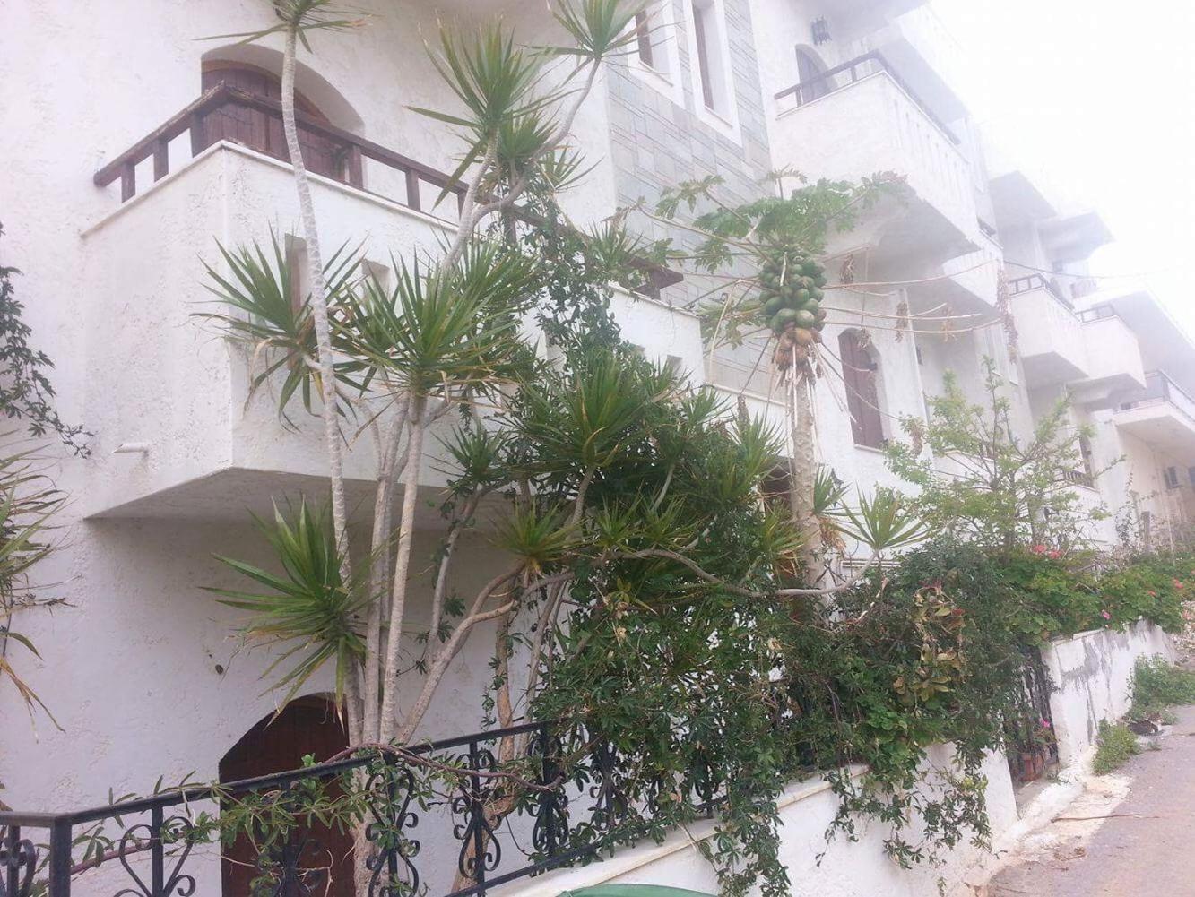 Фото Irene Apartments